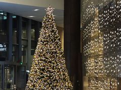 -北京北辰洲际酒店