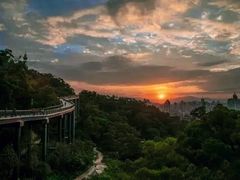 -金鸡山公园