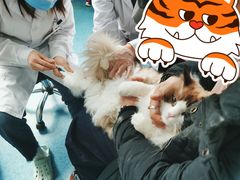 -北京赛佳动物医院