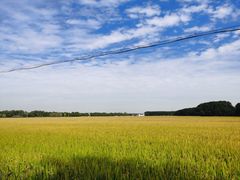 -嘉北郊野公园