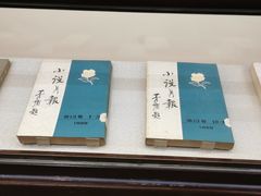 -乌镇东栅景区