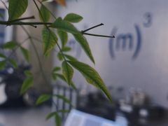 -CUBIC3三立方咖啡(凌空SOHO店)