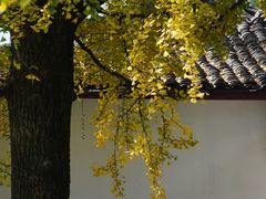 -北山街历史文化街区