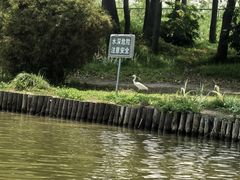 -新江湾城公园
