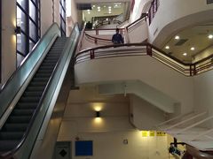 -香港大学