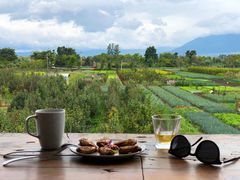 -翠田Green Field Kitchen