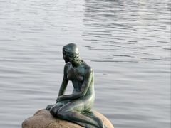 -美人鱼
