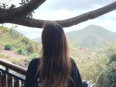 -鹿回头风景区