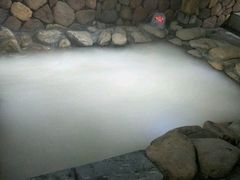 -漢頓温泉度假酒店