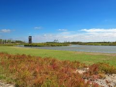 -春花秋色城市公园