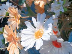 -常熟路(地铁站)