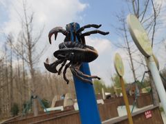 -黄海国家森林公园