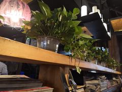 -柿子树炭烤羊腿(金台路店)