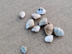 -六鳌翡翠湾滨海度假景区