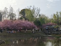 -武汉园博园(武汉自然博物馆)