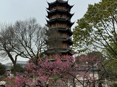 -红梅公园