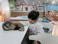 -Moni星球萌宠·小马宝莉·灵蛇·高端高阶全萌宠互动体验俱乐部(红豆国际广场店)