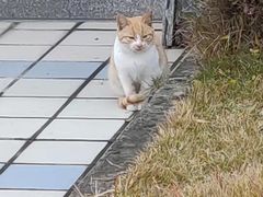 -上海健康医学院北苑食堂