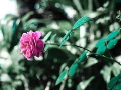 -维乐口腔医院(星海湾分院)