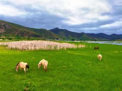 -泸沽湖国家级风景名胜区走婚桥