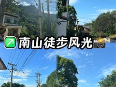-南山植物园