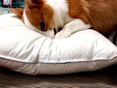 -宇翔服饰(双井桥东首城国际店)