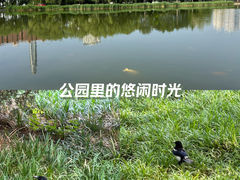 -泰丰公园