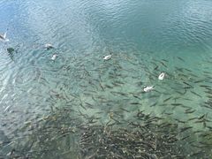 -青海湖二郎剑景区