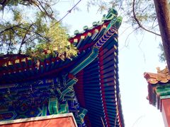 -颐和园