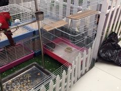 -方恒购物中心(望京小街店)