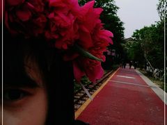 -曹州牡丹园