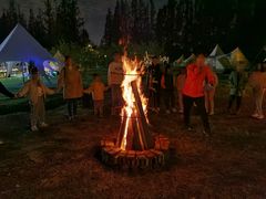 -前小桔亲子创意农场·草莓采摘·露营烧烤