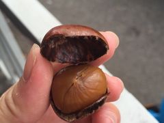 -陈记栗子(长宁路店)
