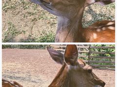 -安德鲁户外烧烤帐篷营地(马泉营店)