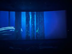 -保利国际影城杭州中南店