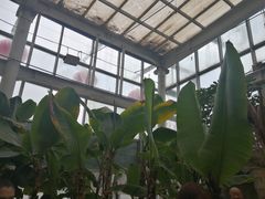 -石家庄市植物园