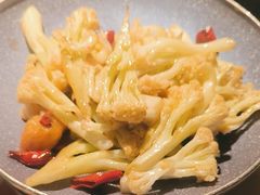 -初蓉丨遇见新川菜(亲贤街荣耀店)