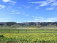 -青海湖国家重点风景名胜区
