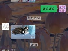 -特一安24小时宠物医院·骨科·中兽医