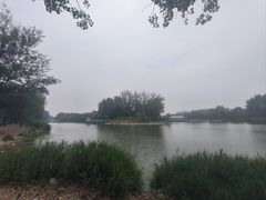 -天津武清北运河郊野公园房车露营地