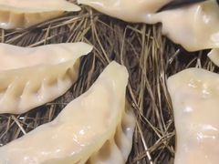 -松针蔡记蒸饺(花园路店)