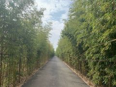 -武汉紫薇都市田园