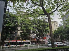 -广州都市观光巴士(粤陶巴)