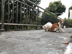 -深圳国际园林花卉博览园