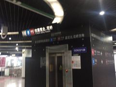 -东方体育中心(地铁站)