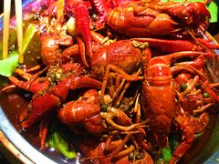 -红盔甲·小龙虾(天钥桥店)
