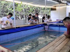 -小象钓虾·营地烧烤(洛溪店)