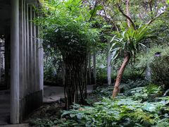 -广西壮族自治区药用植物园
