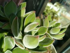 -咱家大院海鲜家常菜