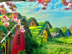 -武汉紫薇都市田园